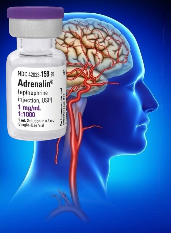 Mundet Adrenalina te shkaktoje me shume demtime sesa benefite ne pacientet me arrest kardiak? Mundet Adrenalina te shkaktoje me shume demtime sesa benefite ne pacientet me arrest kardiak?