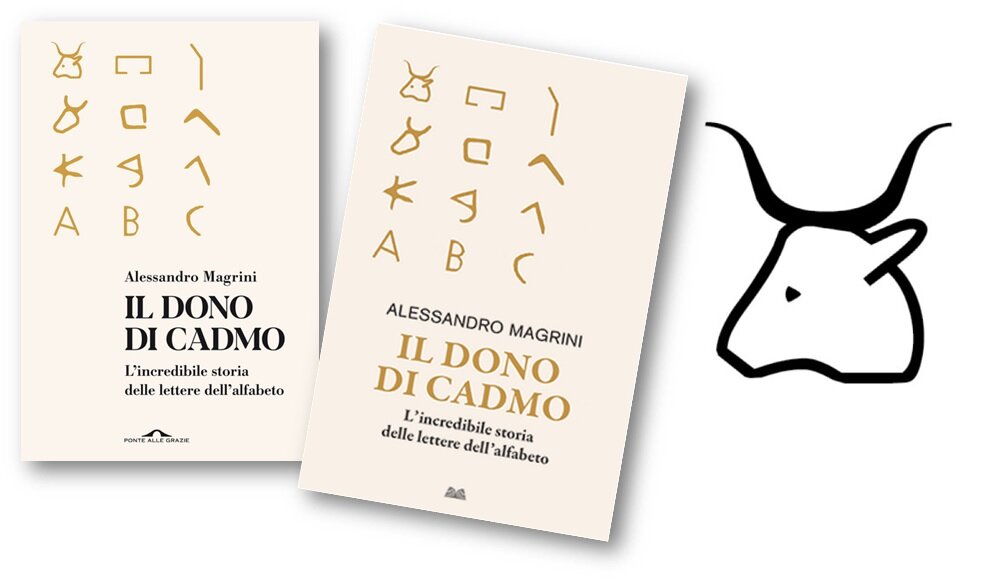 688b58e0-4932-4fc2-b9c3-d12d834d3977.jpg 688b58e0-4932-4fc2-b9c3-d12d834d3977.jpg