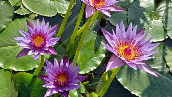 fe9bdff5-b3dc-426d-8ee9-edb631dfb68d fe9bdff5-b3dc-426d-8ee9-edb631dfb68d