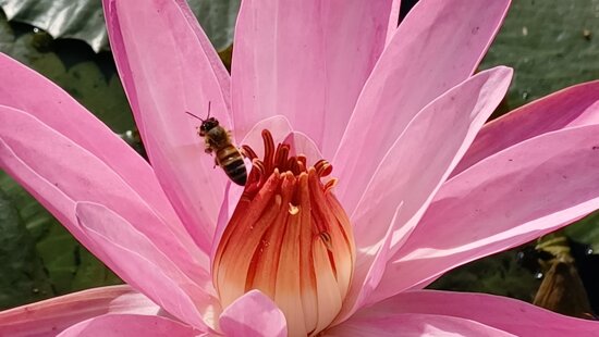 f274e8ba-467a-4804-91c2-1d4582e5a76e f274e8ba-467a-4804-91c2-1d4582e5a76e