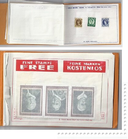 4af886e9-2023-45f1-87ea-fef4db962753.jpg 4af886e9-2023-45f1-87ea-fef4db962753.jpg