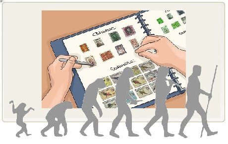 La collezione nella collezione La collezione nella collezione