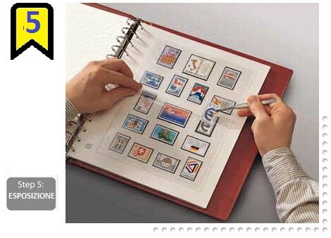 e414b62b-4f98-4020-9ecc-69e279a7feb7.jpg e414b62b-4f98-4020-9ecc-69e279a7feb7.jpg