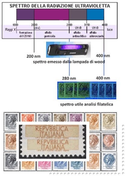 bf49532c-9588-4489-87e7-4ec87cb8910b.jpg bf49532c-9588-4489-87e7-4ec87cb8910b.jpg