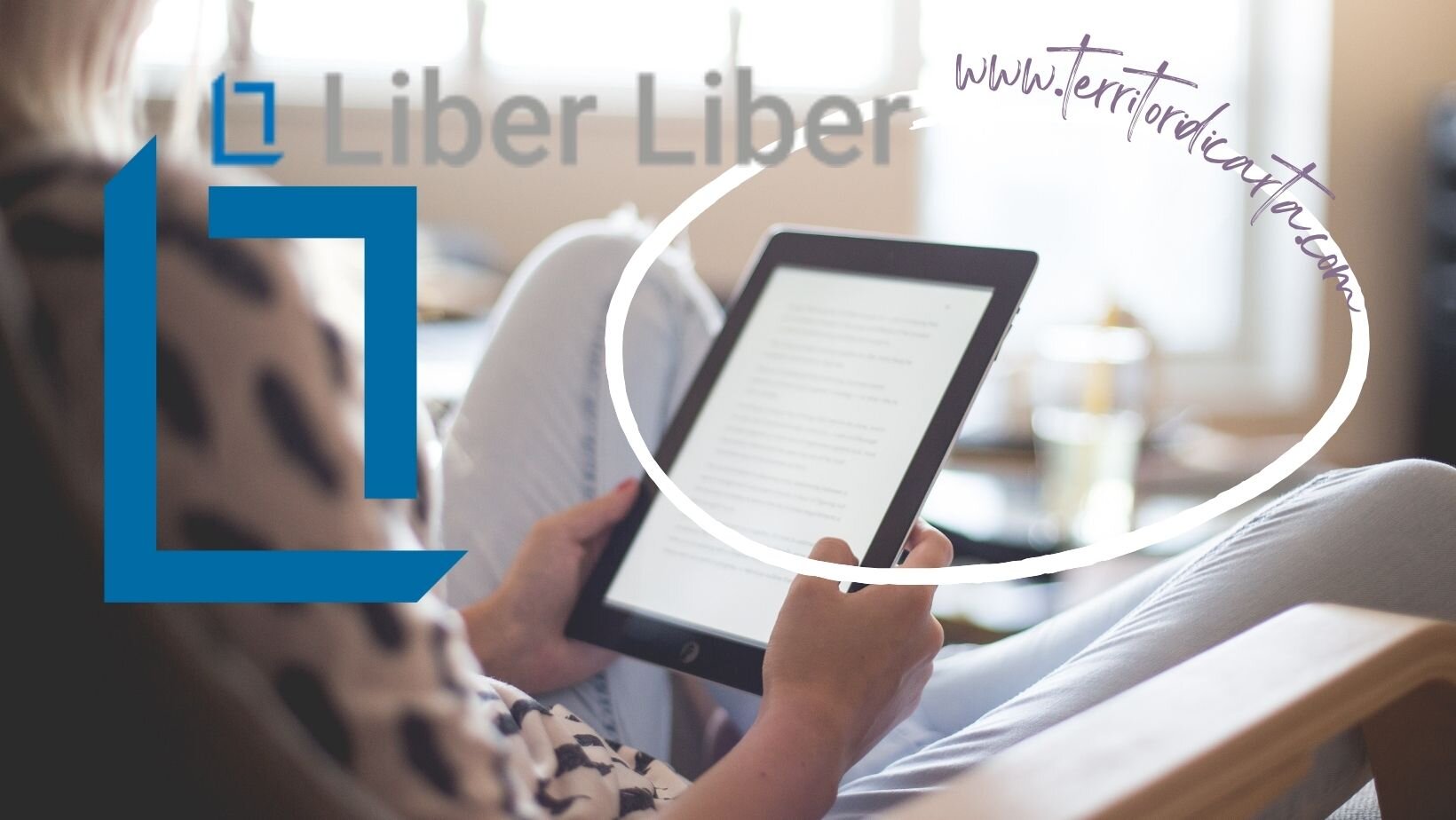 2c6e564e-4c3a-4322-aaeb-326eba1e18bf.jpg 2c6e564e-4c3a-4322-aaeb-326eba1e18bf.jpg