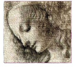 2e712f5f-dd21-41b3-a657-606699947256