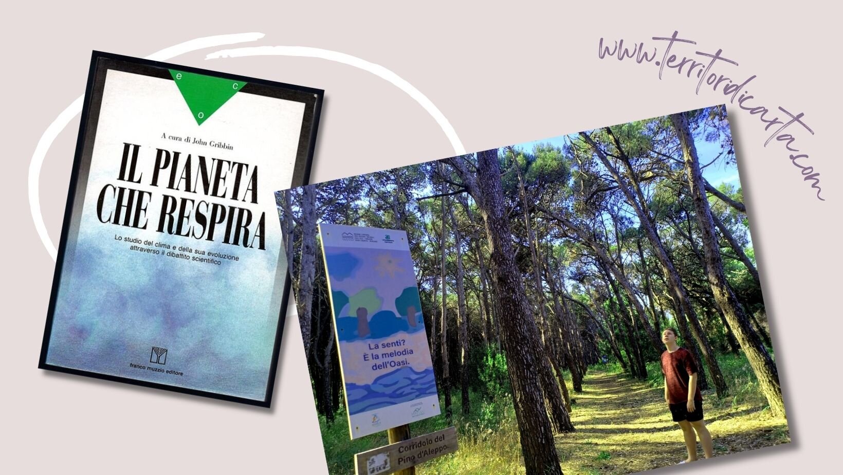 bdfd3cee-8df2-40fc-b99f-825074947fef.jpg bdfd3cee-8df2-40fc-b99f-825074947fef.jpg