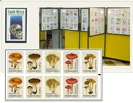 c5c02bed-2e7c-4e49-90f8-7d903a0c5b3e.jpg c5c02bed-2e7c-4e49-90f8-7d903a0c5b3e.jpg