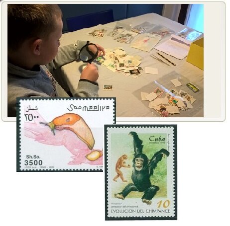 60256c99-0f03-4484-92cb-2c1304e779dc.jpg 60256c99-0f03-4484-92cb-2c1304e779dc.jpg