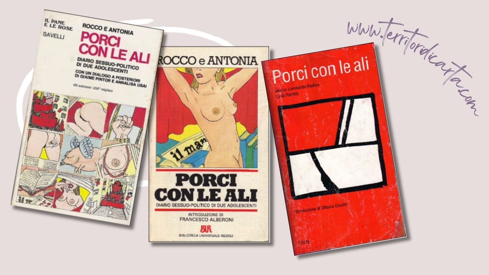 145768ac-f0ae-47e3-bbdf-1870072f7baa.jpg 145768ac-f0ae-47e3-bbdf-1870072f7baa.jpg