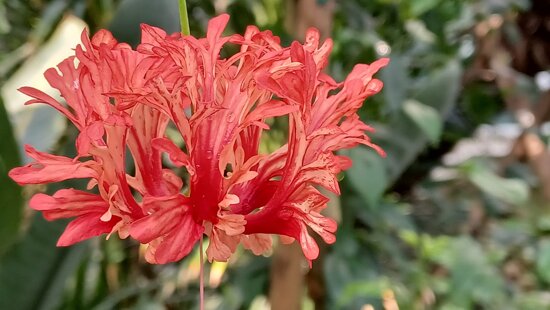 0a004df7-a9e3-4391-a8be-8fe581a0773e 0a004df7-a9e3-4391-a8be-8fe581a0773e