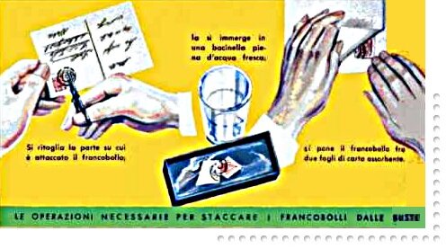 2b5ac861-05e6-4add-b0b9-065c9e385a68.jpg 2b5ac861-05e6-4add-b0b9-065c9e385a68.jpg