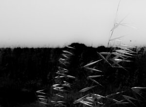 rc-img_0251.jpeg