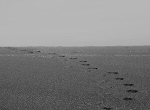 human%20civilization%20-%20after%20the%20beach%20party.jpeg