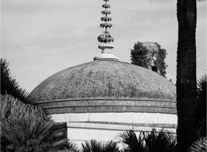 img_0505.jpeg