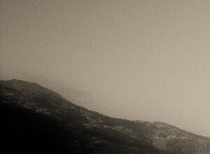 leaves%20waking%20up%20on%20a%20foggy%20morning.jpeg