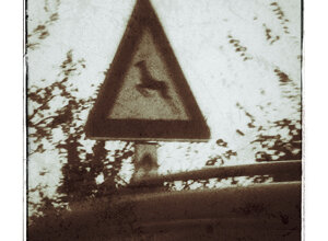 img_5763.jpeg