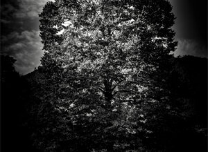 dragan22-b-img_0247.jpeg
