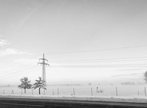 img_8759_cr.jpeg