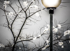fast%20walk%20rain_cr.jpeg