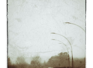img_20241107_191019.jpeg