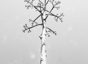 img_3810.jpeg