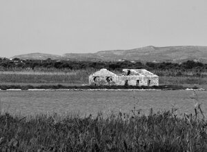 img_2382-2.jpeg