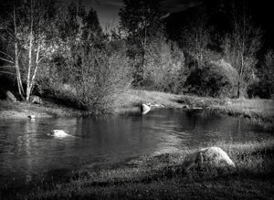 dragan22-b-img_0237.jpeg