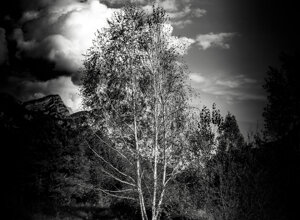 dragan22-b-img_0244.jpeg