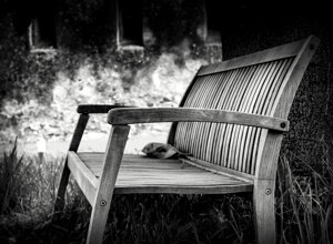 dragan22-b-img_0251.jpeg