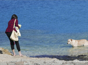lonely%20dog%20in%20a%20desert%20town_cr.jpeg