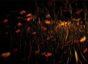flower%20fractalyzed%2004_1.jpeg