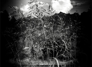 dragan22-b-img_0232.jpeg