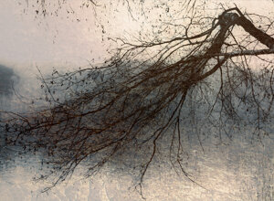 first%20i%20dream%20my%20paintings,%20then%20i%20paint%20my%20dreams%20(237)_rc.jpeg