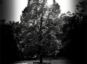 dragan22-b-img_0231.jpeg