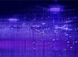 ahahah,%20listen%20to%20what%20the%20cat%20did%20yesterday.jpeg