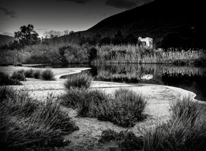dragan22-b-img_2146.jpeg