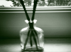 dsc03447-modifica.jpeg