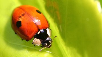 7831aaf2-fa59-4a10-b7de-90698837969f