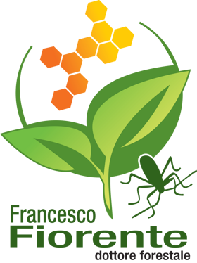 6bd331b5-7fee-4da7-9454-1d1522424a49 6bd331b5-7fee-4da7-9454-1d1522424a49