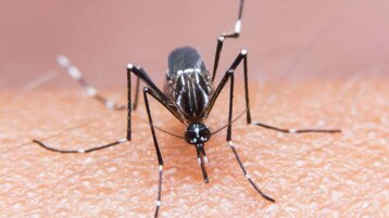 a879964c-7556-4dfa-ba8a-fb5e0a677dca