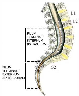 f36ec50e-a69c-4527-adac-3611538a2a68