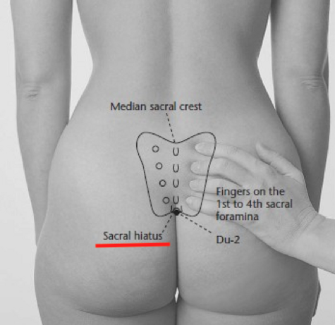 05104863-0b28-4fb0-9d9f-dbe85843d770