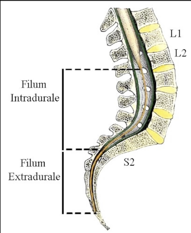 036c3de6-969b-49e9-b944-4b654a788dd4