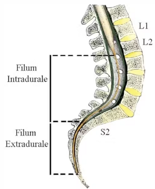 34c6d1bf-fd00-44d8-ba71-dea4e5288d67