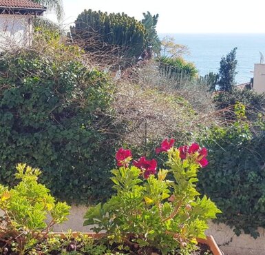 30895061.jpeg 30895061.jpeg