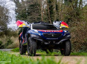 29f43266-799f-460a-b010-7248fe43ea66 29f43266-799f-460a-b010-7248fe43ea66