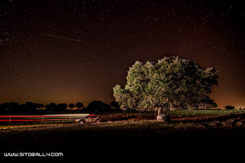 9e34e84a-b4e1-4a25-9088-411fbd223a15