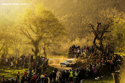 9bb50cc5-7d69-4570-94ca-9fd36c75ac32