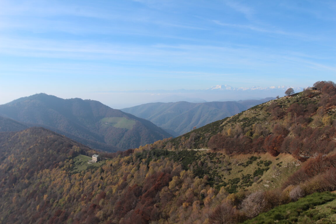 img_2476.jpeg img_2476.jpeg